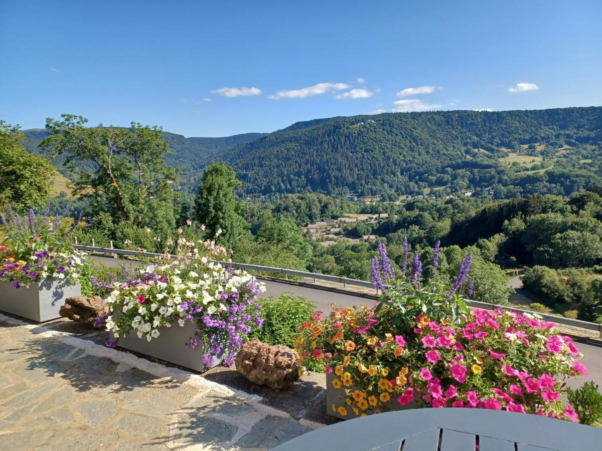 2 Hebergements Differents Un Gite Avec 2 Chambres Et Une Chambre Avec Kitchenette Ferienhaus *